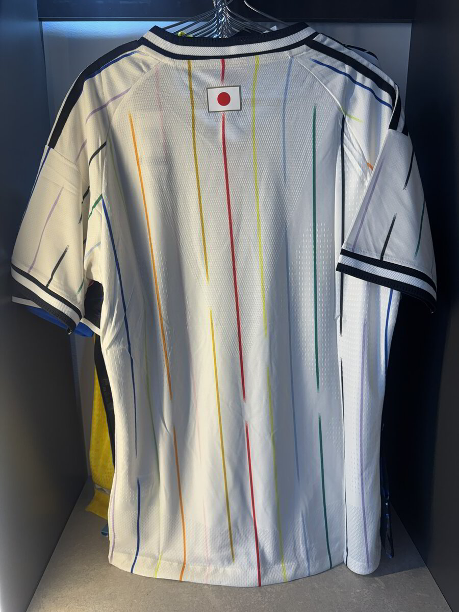 JAPON VISITANTE MUNDIAL 2026