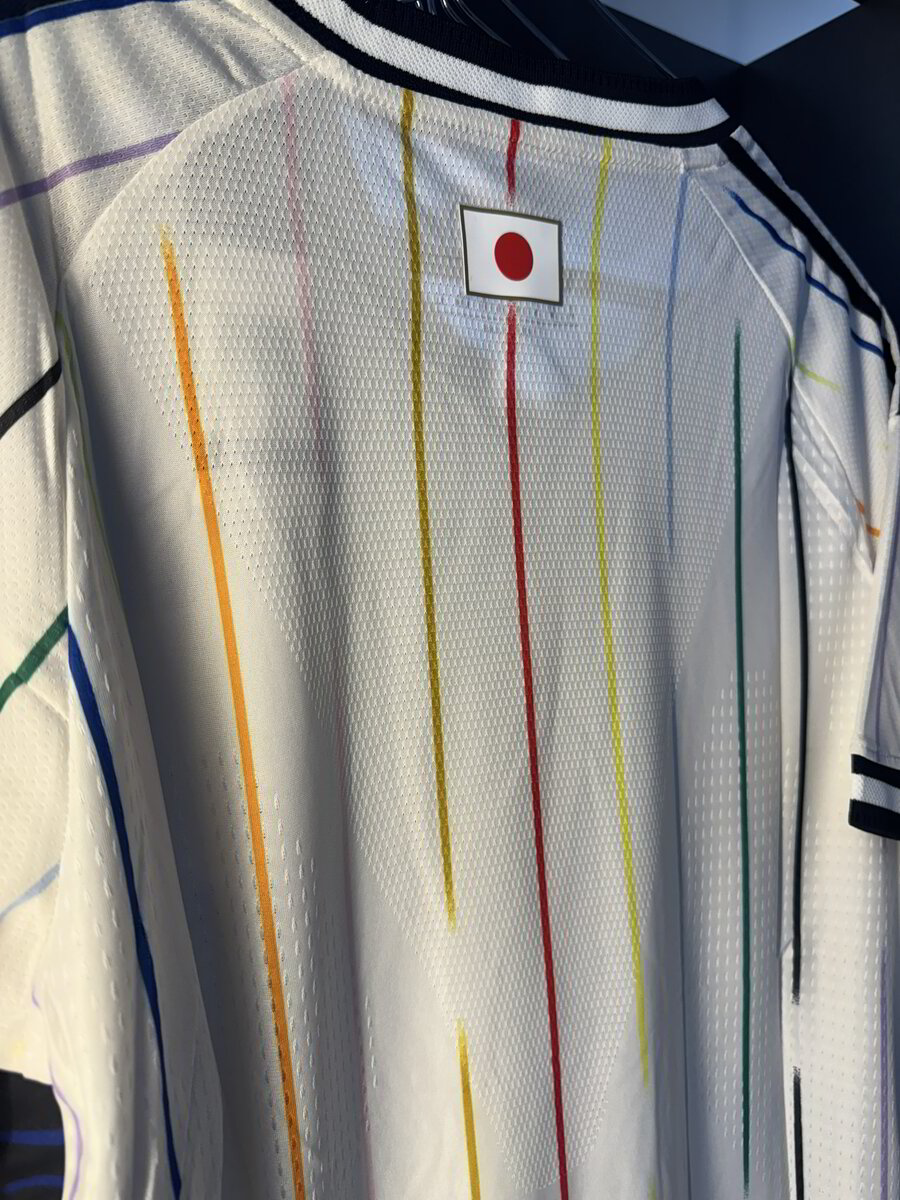 JAPON VISITANTE MUNDIAL 2026