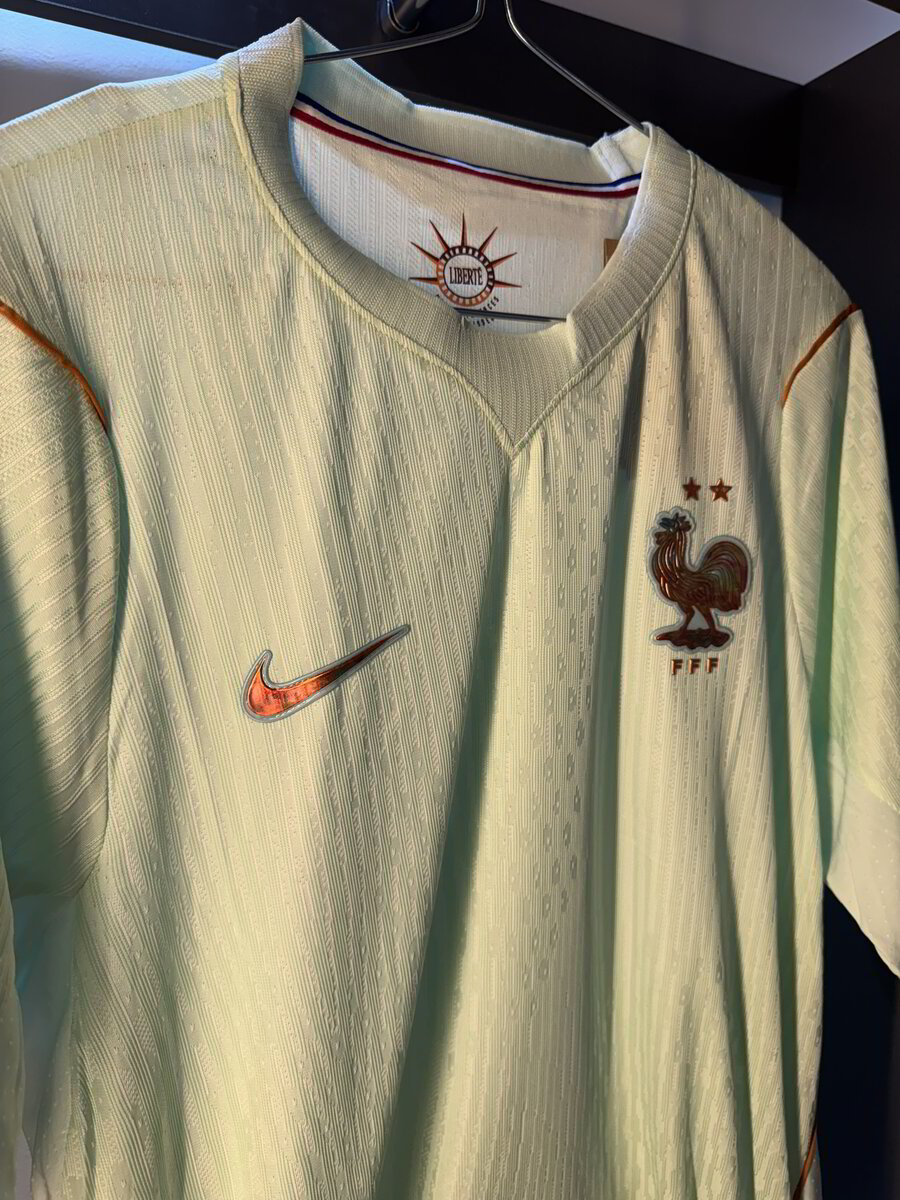 FRANCIA VISITANTE MUNDIAL 2026